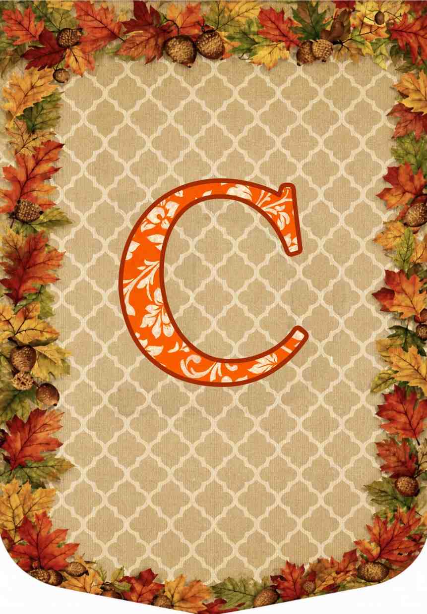 MONOGRAM FALL - C