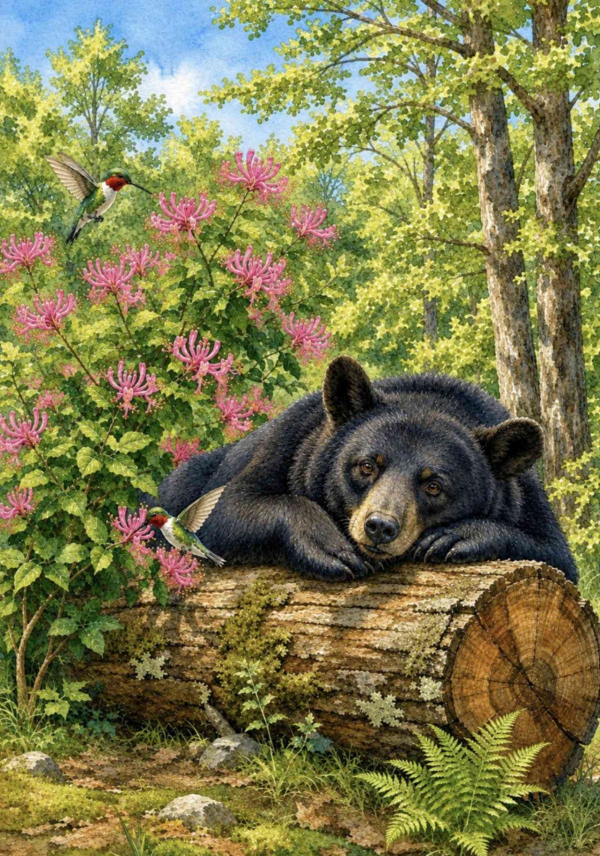 HONEYSUCKLE BEAR