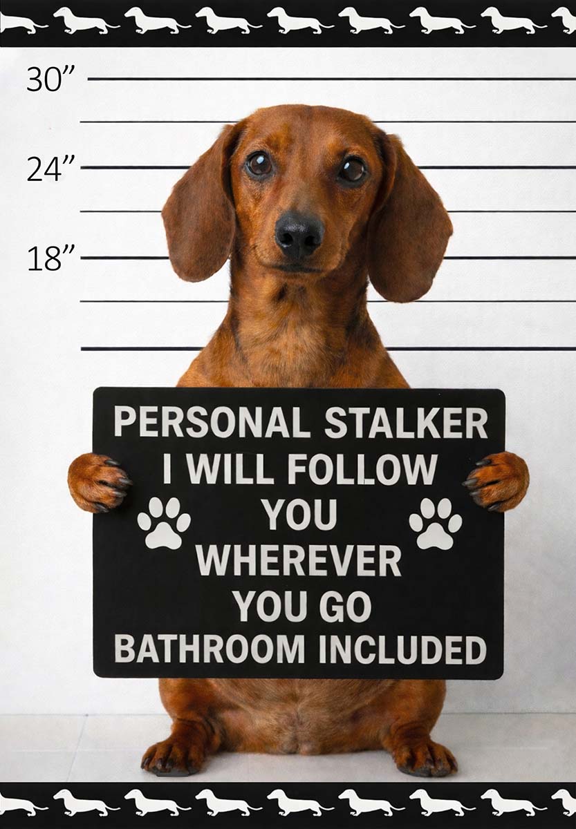 STALKER