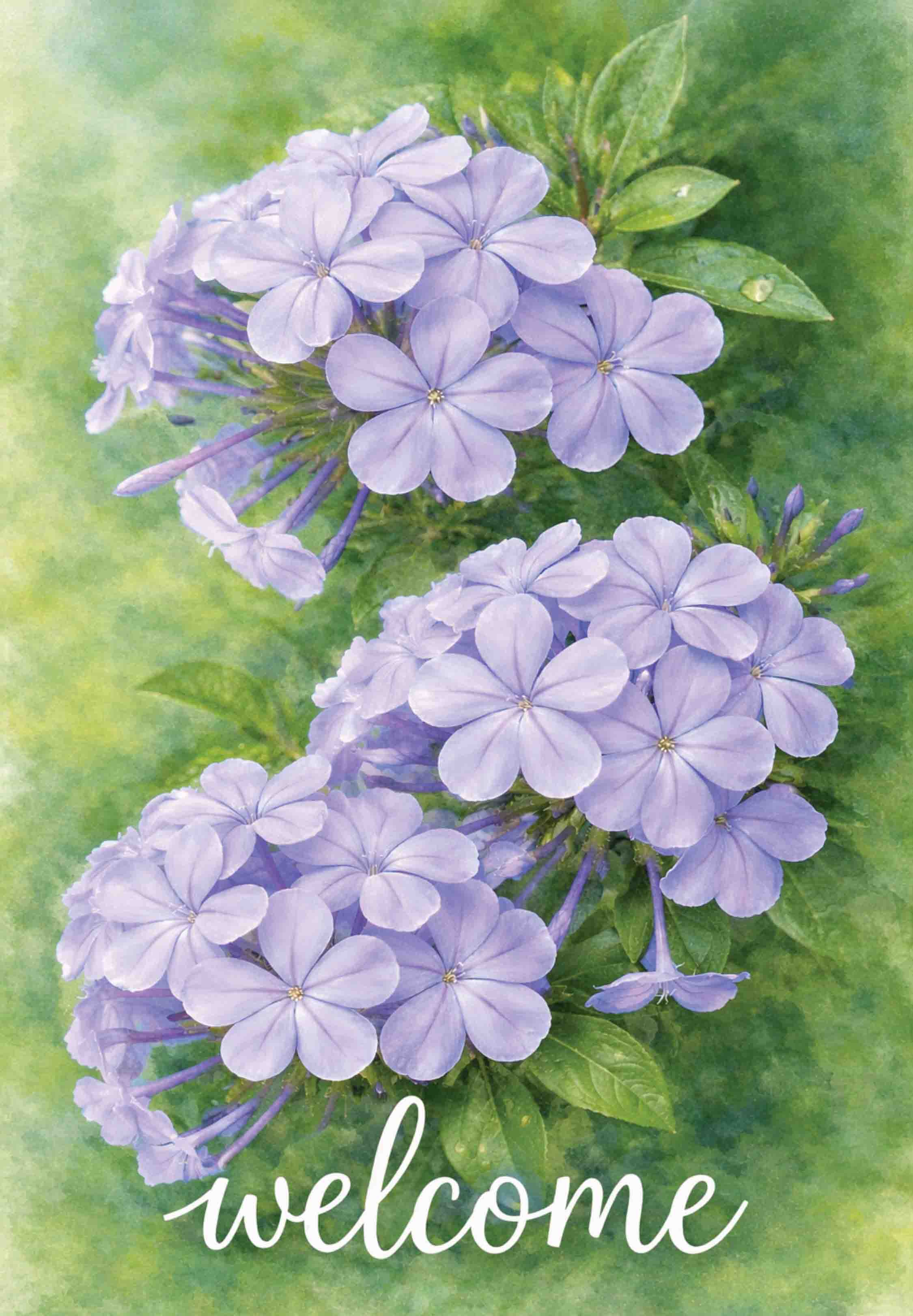 PERIWINKLE WELCOME